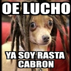 Meme Personalizado - oe lucho ya soy rasta cabron - 1458559