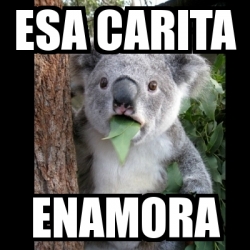 Meme Koala ESA CARITA ENAMORA 11504547