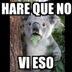 Meme Koala Hare Que No Vi Eso 12690901