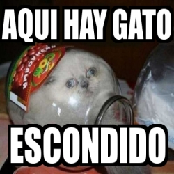 Meme Personalizado Aqui Hay Gato Escondido