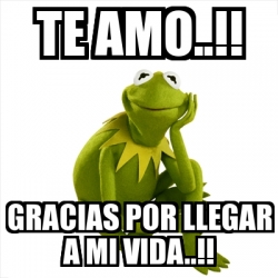 Meme Kermit The Frog Te Amo Gracias Por Llegar A Mi Vida