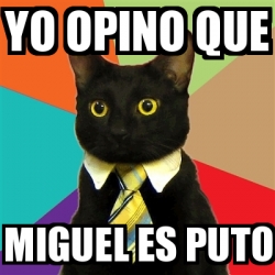 Meme Business Cat Yo Opino Que Miguel Es Puto