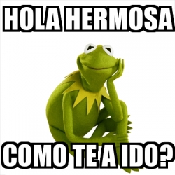 Meme Kermit the frog - hola hermosa como te a ido? - 16315710