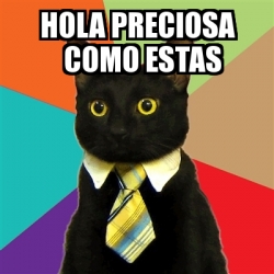 Meme Business Cat - HOLA PRECIOSA COMO ESTAS - 17917493