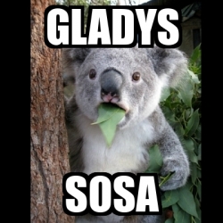 gladys sosa gladys sosa