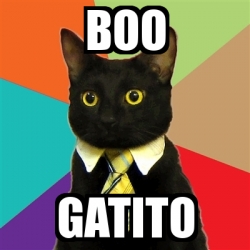 Meme Business Cat - boo gatito - 18790357