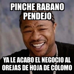 Meme Yo Dawg Pinche Rabano Pendejo Ya Le Acabo El Negocio Al Orejas De Hoja De Colomo