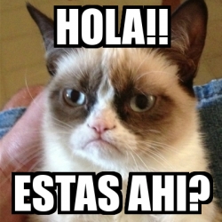 Meme Grumpy Cat - Hola!! ESTAS AHI? - 19076847