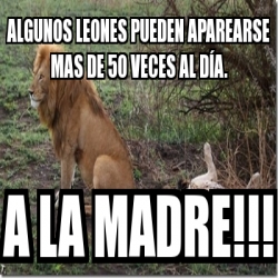 Meme Personalizado - Algunos leones pueden aparearse mas de 50 veces al DÃ  A. a la madre!!! - 2110774