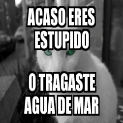 Meme Personalizado Acaso Eres Estupido O Tragaste Agua De Mar