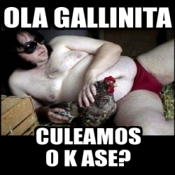 Meme Personalizado Ola Gallinita Culeamos O K Ase