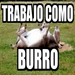 Bien hecho Burro - Meme by DaigoMomazos :) Memedroid