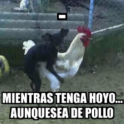 Meme Personalizado - - mientras tenga hoyo... aunquesea de pollo - 2768019