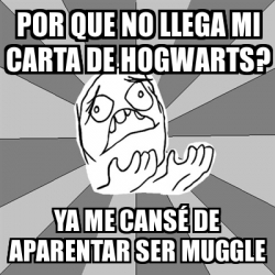 Meme Whyyy - POR QUE NO LLEGA MI CARTA DE HOGWARTS? ya me 