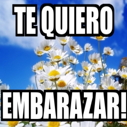 Meme Personalizado - Te quiero Embarazar! - 2853383