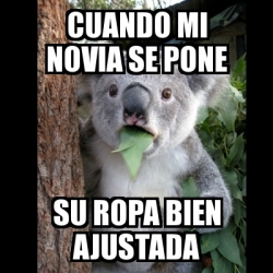 Meme Koala - cuando mi novia se pone su ropa bien ajustada - 20009617