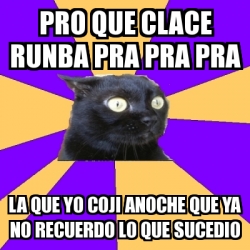Meme Anxiety Cat - Pro que clace runba pra pra pra La que yo coji ...