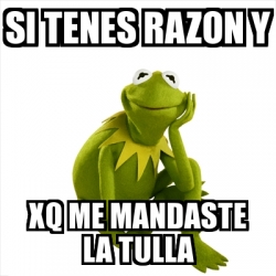 Meme Kermit the frog - si tenes razon y xq me mandaste la tulla - 21896726