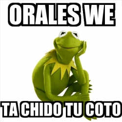 Meme Kermit The Frog Orales We Ta Chido Tu Coto