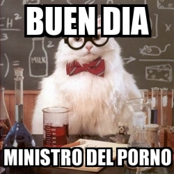 Meme Chemistry Cat - buen dia ministro del porno - 23826030