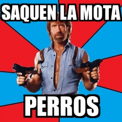 Meme Chuck Norris Saquen La Mota Perros