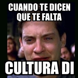 Meme Crying Peter Parker Cuando Te Dicen Que Te Falta Cultura Di