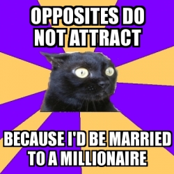 Do opposites attract essay