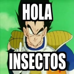 Meme Personalizado - Hola Insectos - 24643995