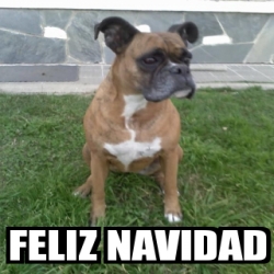 Meme Personalizado - feliz navidad - 25045013