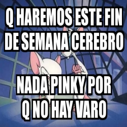 Meme Personalizado Q Haremos Este Fin De Semana Cerebro Nada Pinky Por Q No Hay Varo