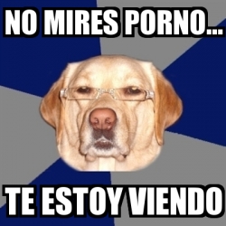 Meme Perro Racista - no mires porno... te estoy viendo - 27290003
