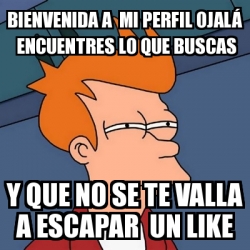 Meme Futurama Fry Bienvenida A Mi Perfil Ojal Encuentres Lo Que Buscas Y Que No Se Te Valla