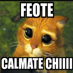 Meme Personalizado - Feote Calmate chiiii - 28253567