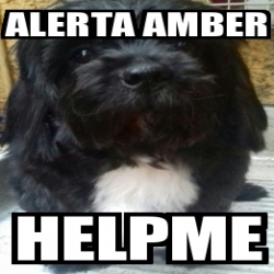 Meme Personalizado - ALERTA AMBER Helpme - 29307677