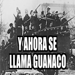 Meme Personalizado - Y AHORA SE LLAMA GUANACO - 29551780