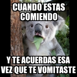 Meme Koala - cuando estas comiendo y te acuerdas esa vez que te ...