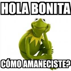 Meme Kermit the frog - Hola bonita CÃ³mo amaneciste? - 29865924