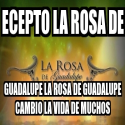 Meme Personalizado - ecepto la rosa de guadalupe la rosa de guadalupe