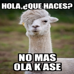 Meme Personalizado - hola,Â¿que haces? no mas ola k ase - 3756774