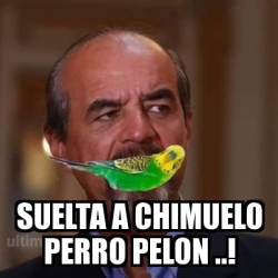 Meme Personalizado - suelta a chimuelo perro pelon ..! - 30307634