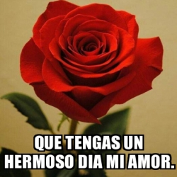 Meme Personalizado Que Tengas Un Hermoso Dia Mi Amor 30341834