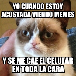 Meme Grumpy Cat Yo Cuando Estoy Acostada Viendo Memes Y Se Me Cae El