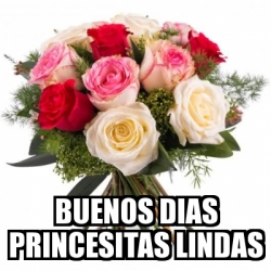 Meme Personalizado Buenos Dias Princesitas Lindas 30474509