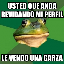 Meme Foul Bachelor Frog Usted Que Anda Revidando Mi Perfil Le Vendo Una Garza