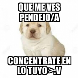 Meme Personalizado Que Me Ves Pendejo A Concentrate En Lo Tuyo V