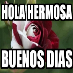 Meme Personalizado - Hola hermosa Buenos dias - 30862379