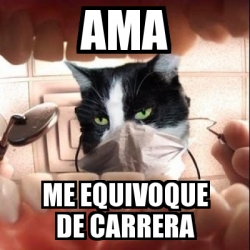 Meme Personalizado - Ama me equivoque de carrera - 30929164