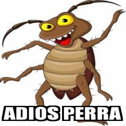 Meme Personalizado - Adios perra - 30954900