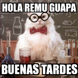 Meme Chemistry Cat - Hola REMU guapa Buenas tardes - 31193997