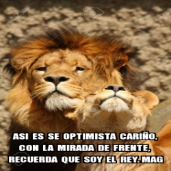 Meme Personalizado - ASI ES SE OPTIMISTA CARIÃ'O, CON LA MIRADA DE FRENTE,  RECUERDA QUE SOY EL REY. MAG - 31289842